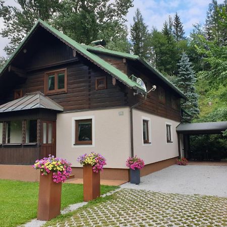 Вілла Freeride-Living Аннаберґ-ім-Ламмерталь Екстер'єр фото